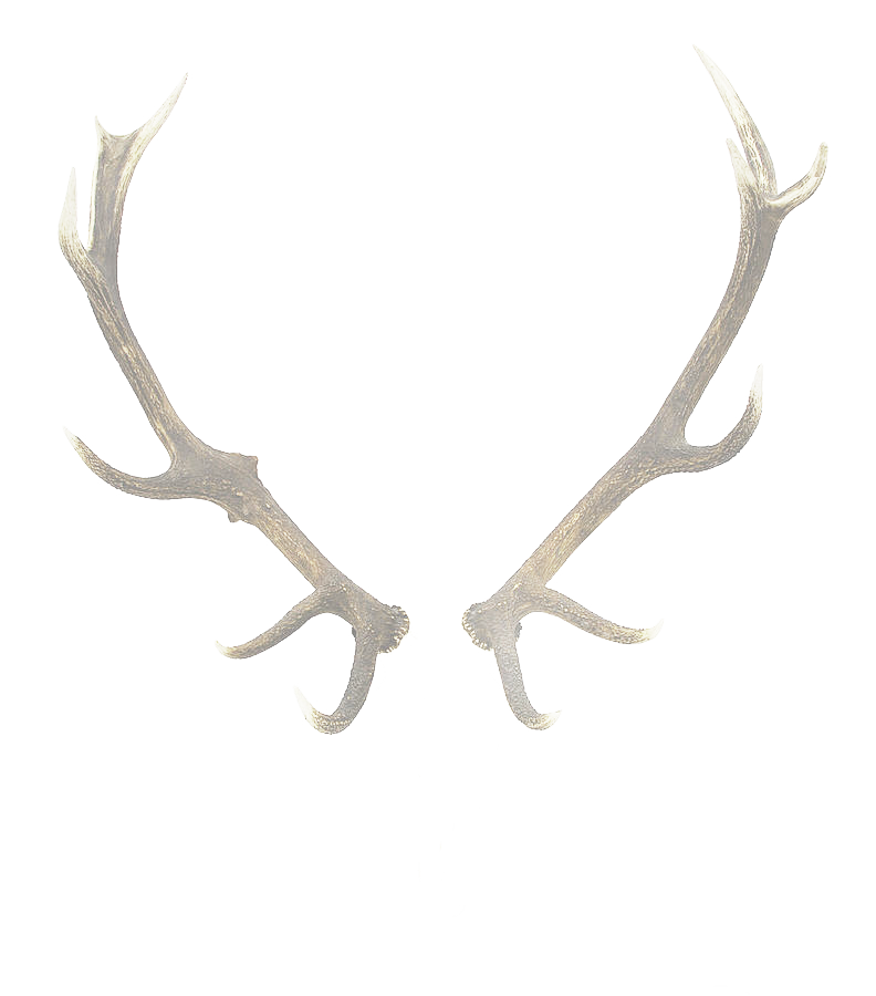 antlers.png